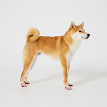 Load image into Gallery viewer, WickedPup Paw Protection Booties for Pets, Set of 6 Colors, 48 Count