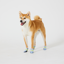 Load image into Gallery viewer, WickedPup Paw Protection Booties for Pets, Set of 6 Colors, 48 Count