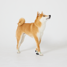 Load image into Gallery viewer, WickedPup Paw Protection Booties for Pets, Set of 6 Colors, 48 Count
