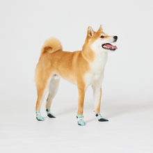 Load image into Gallery viewer, WickedPup Paw Protection Booties for Pets, Set of 6 Colors, 48 Count