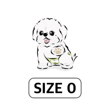 Load image into Gallery viewer, WickedPup Male Dog Belly Band Kit, 50 Diaper Pads & 1 Reusable Male Wrap