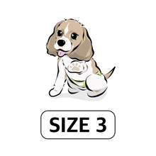 Load image into Gallery viewer, WickedPup Male Dog Belly Band Kit, 50 Diaper Pads & 1 Reusable Male Wrap