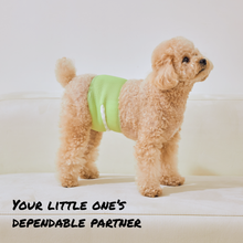 Load image into Gallery viewer, WickedPup Booster Pads for Dog Diapers, 100 Counts