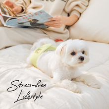 Load image into Gallery viewer, WickedPup Male Dog Belly Band Kit, 50 Diaper Pads & 1 Reusable Male Wrap