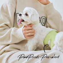 Load image into Gallery viewer, WickedPup Male Dog Belly Band Kit, 50 Diaper Pads & 1 Reusable Male Wrap