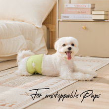 Load image into Gallery viewer, WickedPup Male Dog Belly Band Kit, 50 Diaper Pads & 1 Reusable Male Wrap