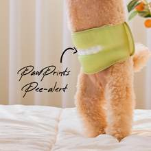 Load image into Gallery viewer, WickedPup Male Dog Belly Band Kit, 50 Diaper Pads & 1 Reusable Male Wrap