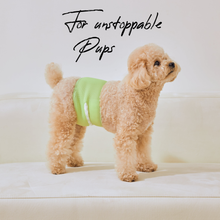 Load image into Gallery viewer, WickedPup Male Dog Belly Band Kit, 50 Diaper Pads & 1 Reusable Male Wrap