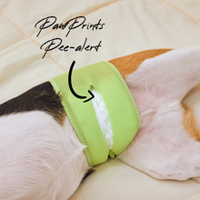 Load image into Gallery viewer, WickedPup Male Dog Belly Band Kit, 50 Diaper Pads & 1 Reusable Male Wrap