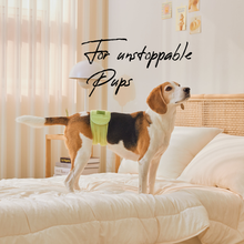 Load image into Gallery viewer, WickedPup Male Dog Belly Band Kit, 50 Diaper Pads & 1 Reusable Male Wrap