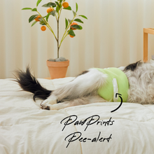 Load image into Gallery viewer, WickedPup Male Dog Belly Band Kit, 50 Diaper Pads & 1 Reusable Male Wrap