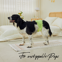 Load image into Gallery viewer, WickedPup Male Dog Belly Band Kit, 50 Diaper Pads & 1 Reusable Male Wrap