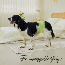 Load image into Gallery viewer, WickedPup Male Dog Belly Band Kit, 50 Diaper Pads &amp; 1 Reusable Male Wrap

